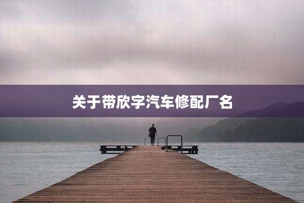 关于带欣字汽车修配厂名