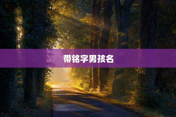 带铭字男孩名