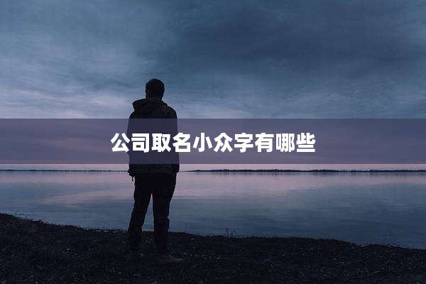 公司取名小众字有哪些