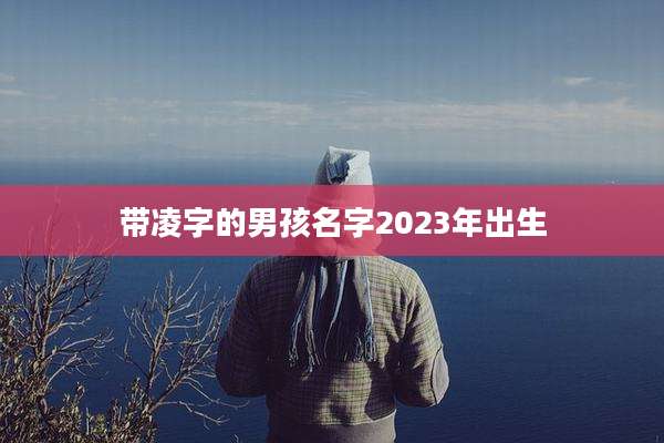 带凌字的男孩名字2023年出生