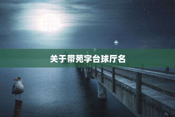 关于带苑字台球厅名