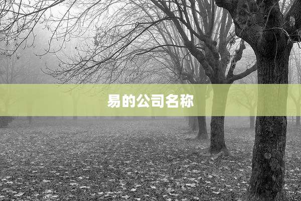 易的公司名称