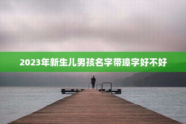 2023年新生儿男孩名字带璋字好不好
