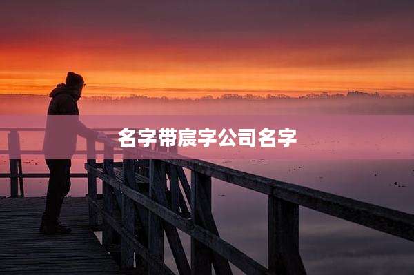 名字带宸字公司名字