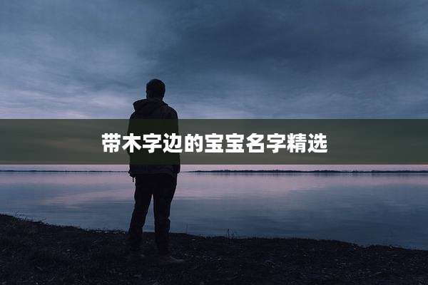 带木字边的宝宝名字精选