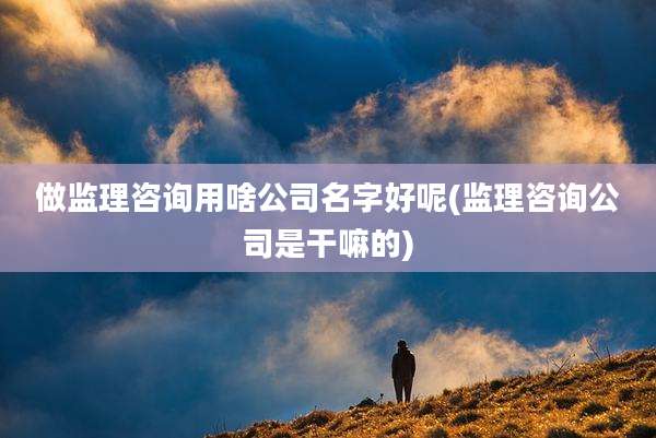 做监理咨询用啥公司名字好呢(监理咨询公司是干嘛的)