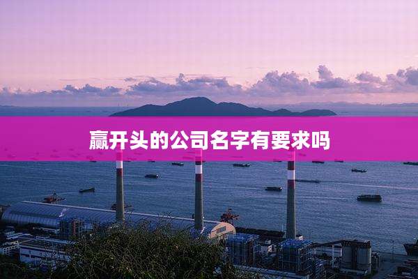 赢开头的公司名字有要求吗