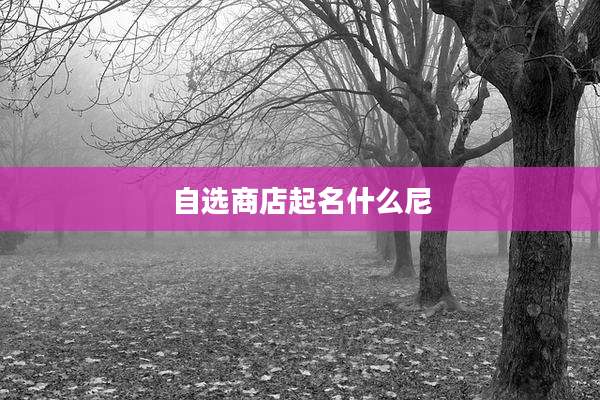 自选商店起名什么尼