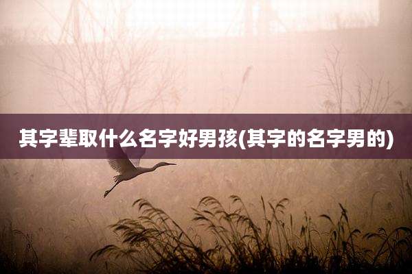 其字辈取什么名字好男孩(其字的名字男的)