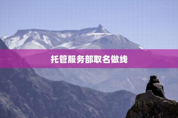 托管服务部取名做线