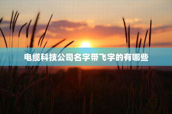 电缆科技公司名字带飞字的有哪些