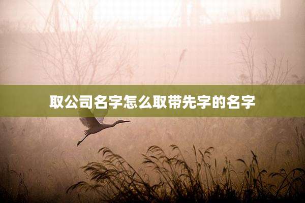 取公司名字怎么取带先字的名字