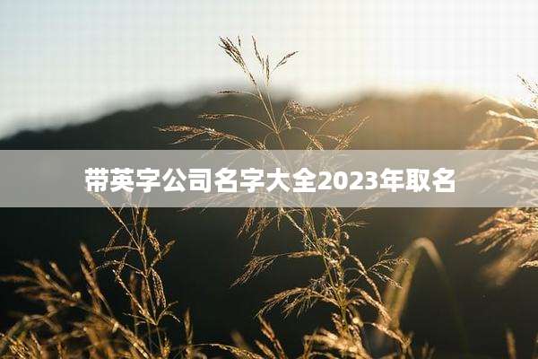 带英字公司名字大全2023年取名
