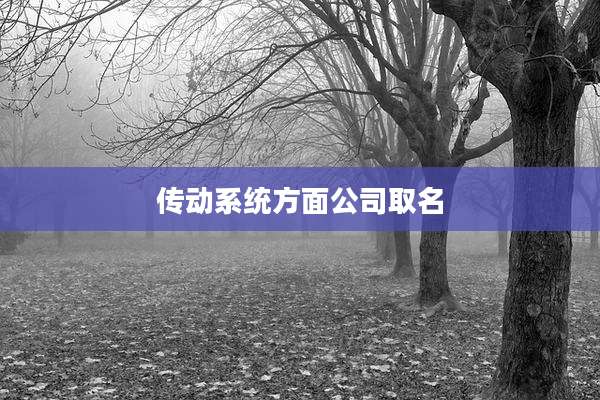 传动系统方面公司取名