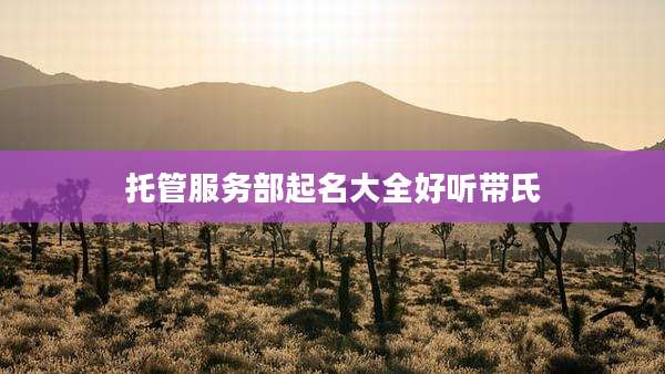托管服务部起名大全好听带氏
