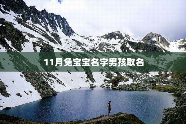 11月兔宝宝名字男孩取名