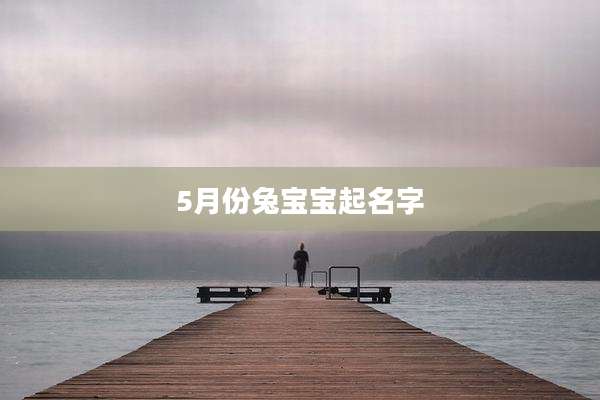 5月份兔宝宝起名字
