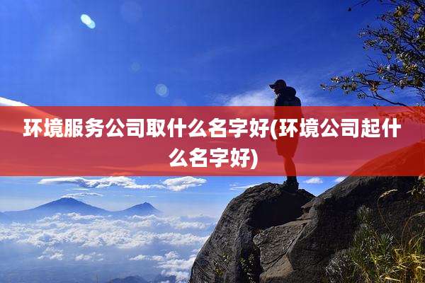 环境服务公司取什么名字好(环境公司起什么名字好)