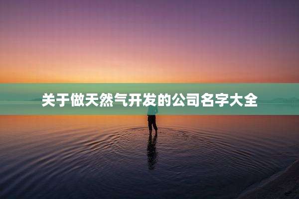 关于做天然气开发的公司名字大全