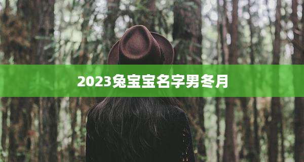 2023兔宝宝名字男冬月