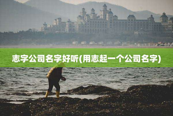 志字公司名字好听(用志起一个公司名字)