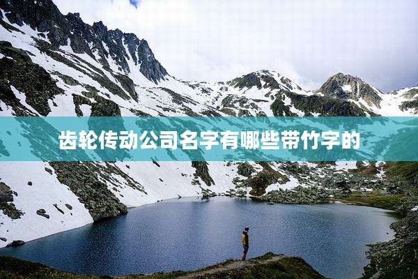 齿轮传动公司名字有哪些带竹字的