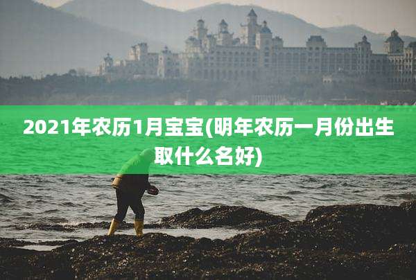 2021年农历1月宝宝(明年农历一月份出生取什么名好)