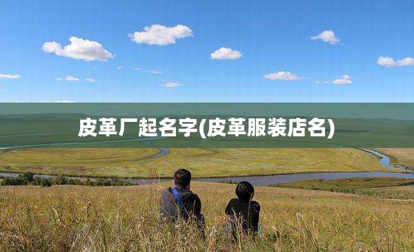 皮革厂起名字(皮革服装店名)