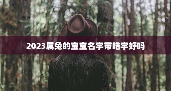 2023属兔的宝宝名字带皓字好吗