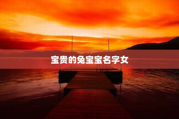 宝贵的兔宝宝名字女