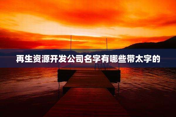 再生资源开发公司名字有哪些带太字的