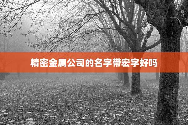 精密金属公司的名字带宏字好吗