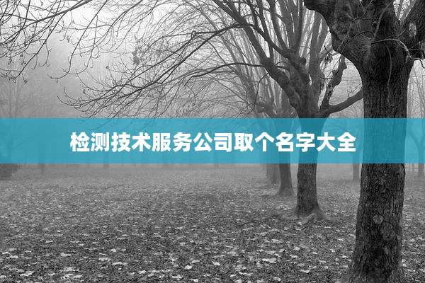 检测技术服务公司取个名字大全
