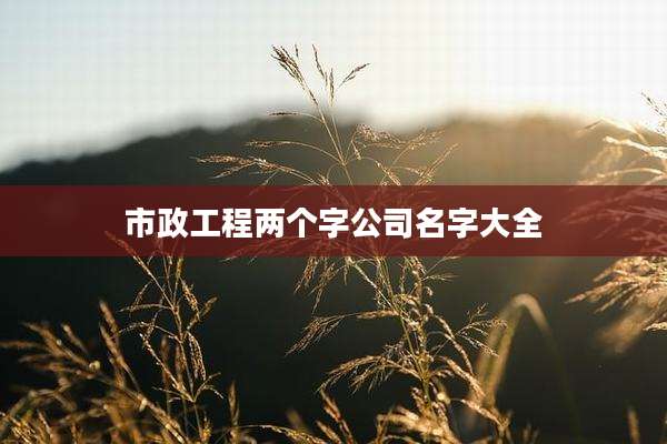 市政工程两个字公司名字大全