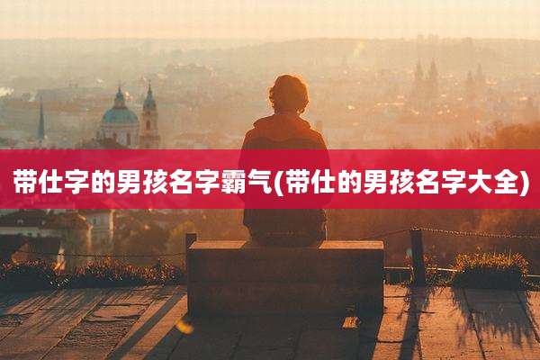 带仕字的男孩名字霸气(带仕的男孩名字大全)