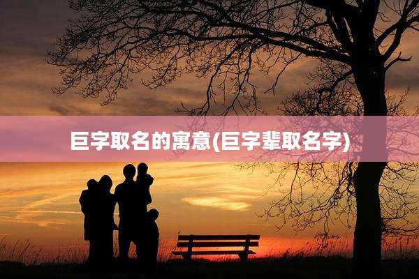 巨字取名的寓意(巨字辈取名字)
