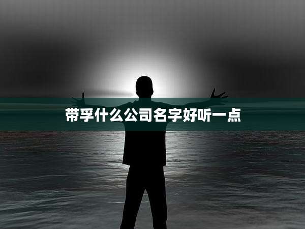 带孚什么公司名字好听一点