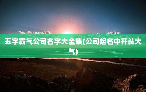 五字霸气公司名字大全集(公司起名中开头大气)