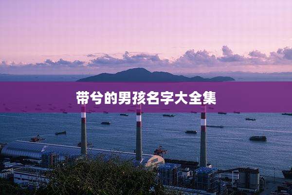 带兮的男孩名字大全集