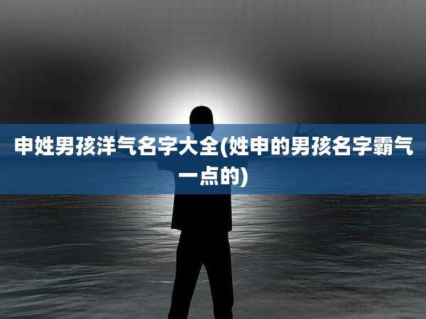 申姓男孩洋气名字大全(姓申的男孩名字霸气一点的)