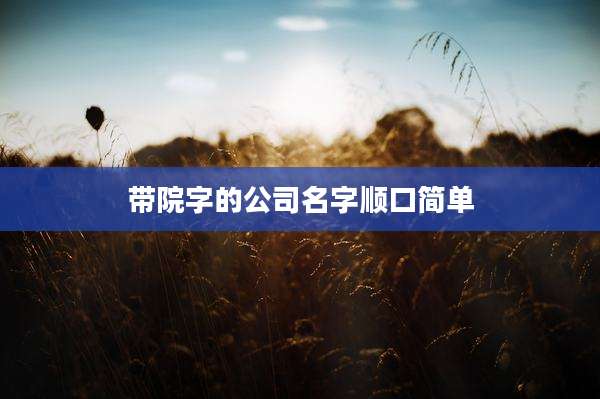 带院字的公司名字顺口简单