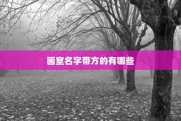 画室名字带方的有哪些