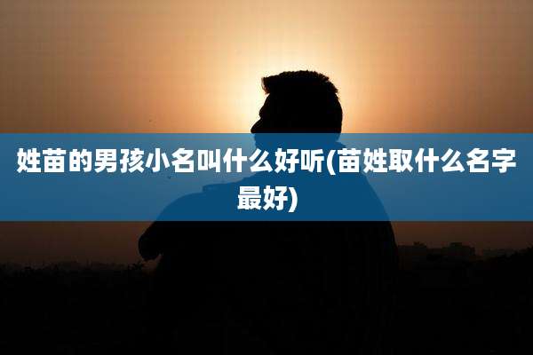 姓苗的男孩小名叫什么好听(苗姓取什么名字最好)