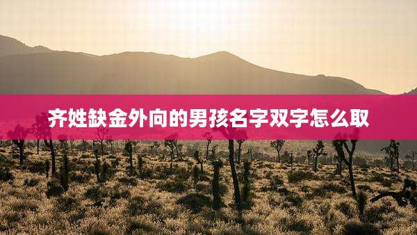齐姓缺金外向的男孩名字双字怎么取