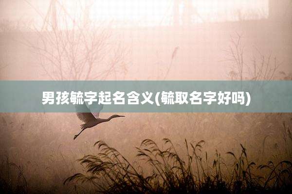 男孩毓字起名含义(毓取名字好吗)