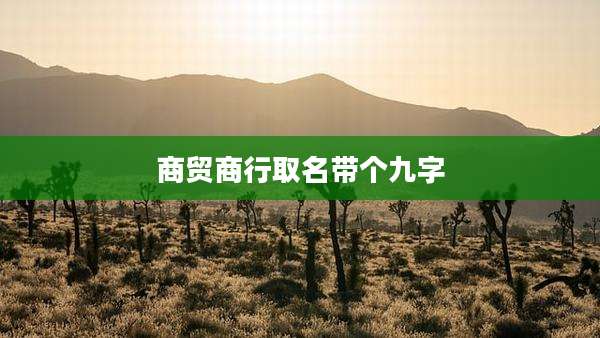 商贸商行取名带个九字