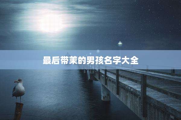 最后带茉的男孩名字大全