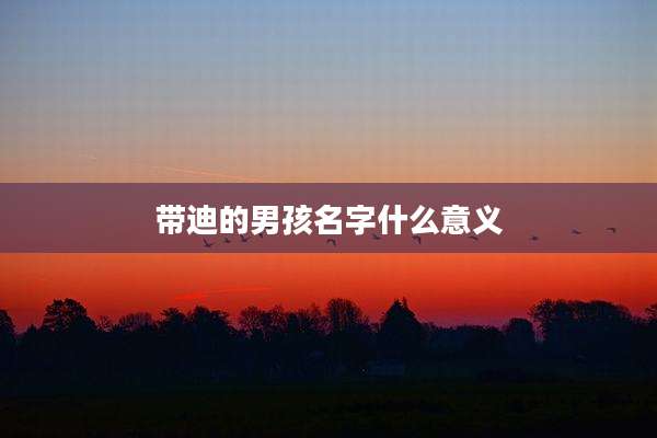 带迪的男孩名字什么意义