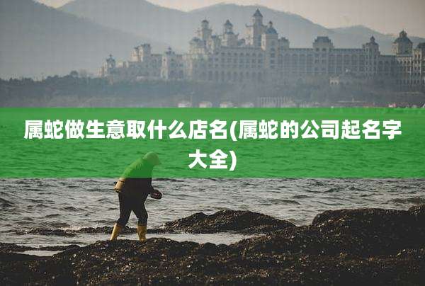 属蛇做生意取什么店名(属蛇的公司起名字大全)