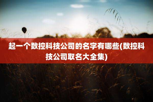 起一个数控科技公司的名字有哪些(数控科技公司取名大全集)